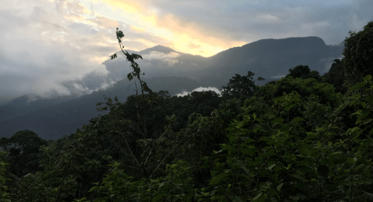 Ciudad Perdida Lost City Trek Kolumbien5