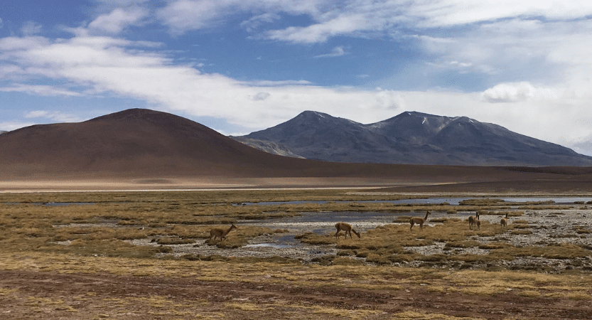 San Pedro de Atacama Chile - Flashpackblog