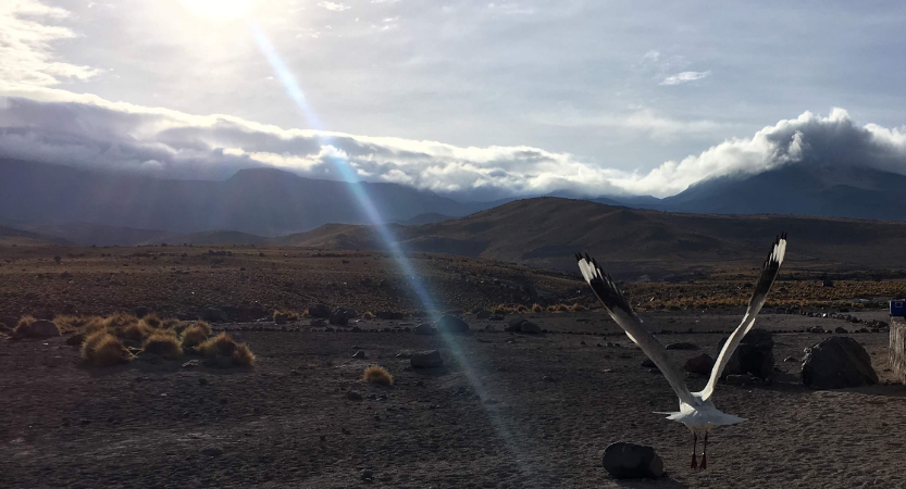 San Pedro de Atacama Chile - Flashpackblog