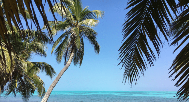 Caye Caulker Belize - FLASHPACKBLOG