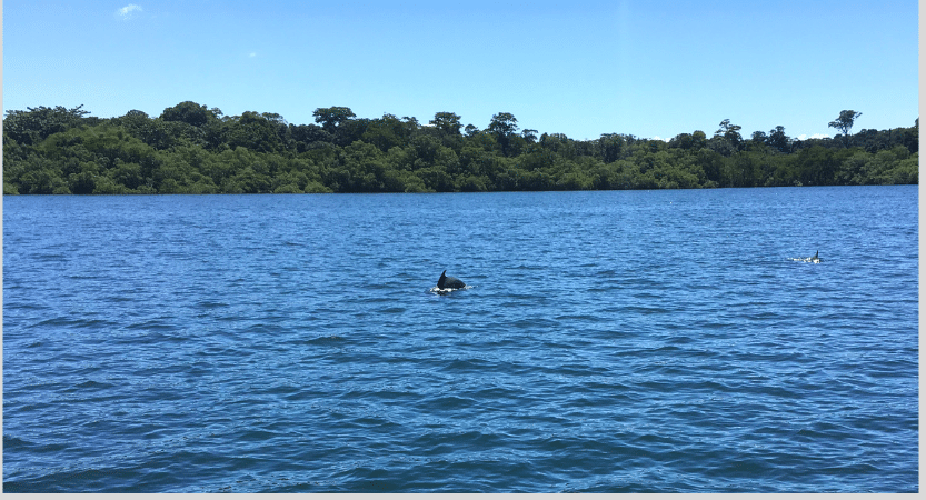 Bocas del Toro, Panama - FLASHPACKBLOG